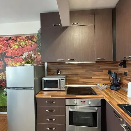 One Bedroom Moni Święty Włas