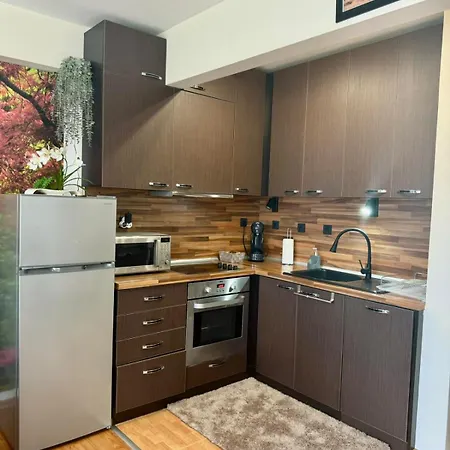 One Bedroom Moni Apartament *